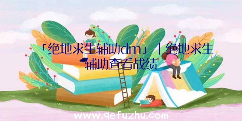 「绝地求生辅助dm」|绝地求生辅助查看战绩